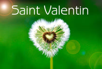 Coeur de la Saint Valentin