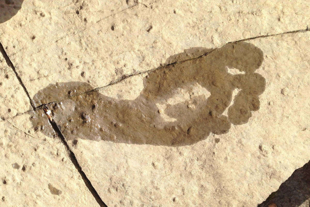 Trace de pied humide sur un sol chaud et ensoleillé