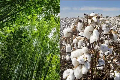 Association de deux matières bambou et coton pour tricoter des chaussettes