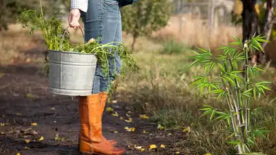 Femme au jardin avec des mi-bas en bambou dans ses bottes